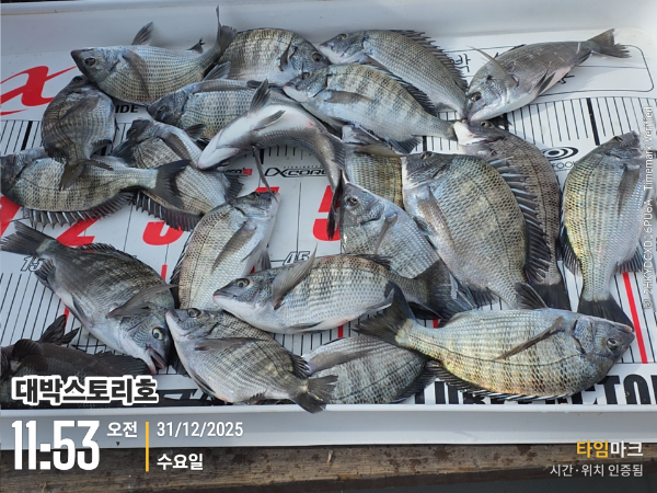 2025-12-31 11.53.03__(대박스토리호).jpg