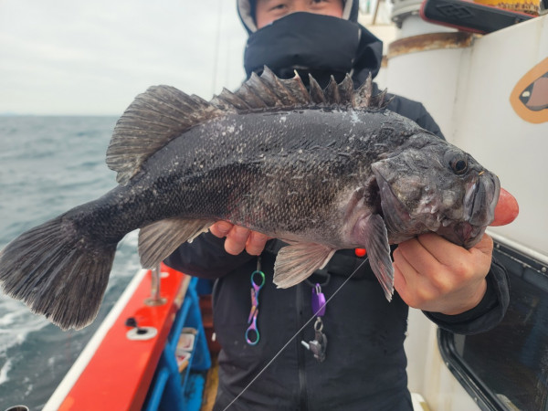 군산 선상낚시, 바다낚시 출조 전문 ☆서군산낚시☆_사진_20260114_3.jpg