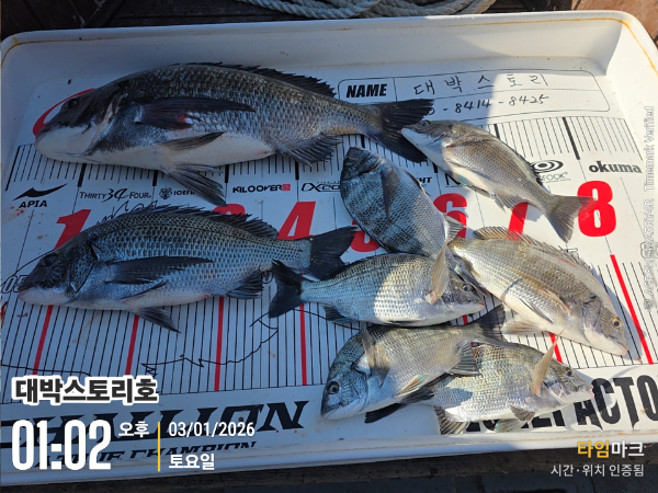 2026-01-03 01.02.41__(대박스토리호).jpg