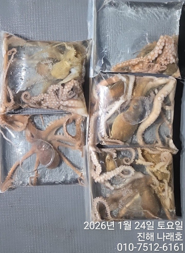 진해 나래호(문어,낙지,갈치)_사진_20260124_7.jpg