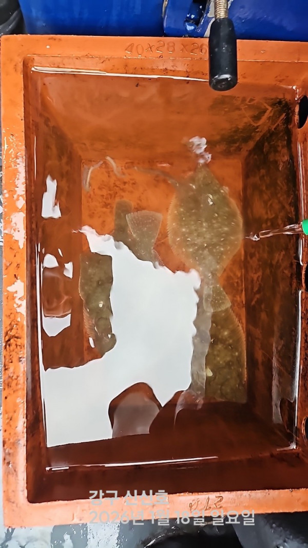 신신낚시 강구점 신신호_사진_20260118_7.jpg