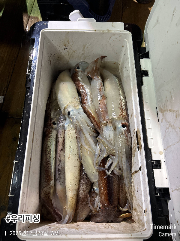 2025-12-28 02.57.39_(#우리피싱).jpeg