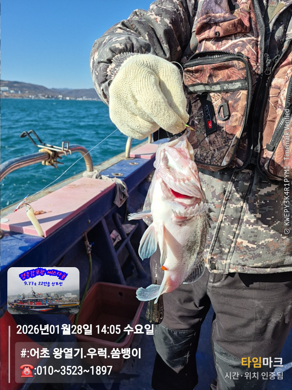 2026-01-28 14.05.52__(#-어초 왕열기.우럭.쏨뱅이)_(-010~3523~1897).jpg