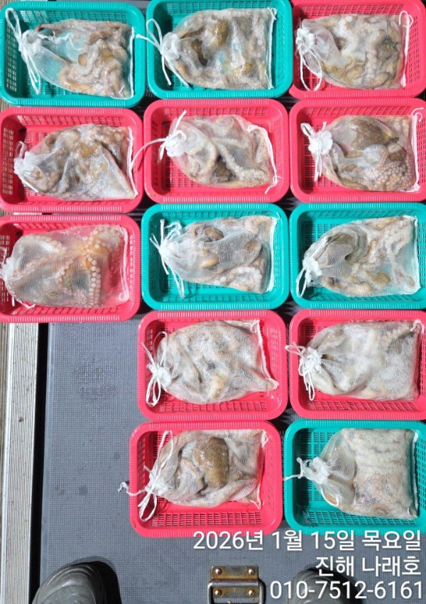 진해 나래호(문어,낙지,갈치)_사진_20260115_19.jpg