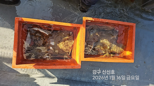 신신낚시 강구점 신신호_사진_20260116_2.jpg