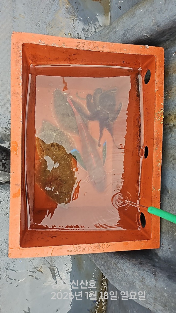 신신낚시 강구점 신신호_사진_20260118_16.jpg