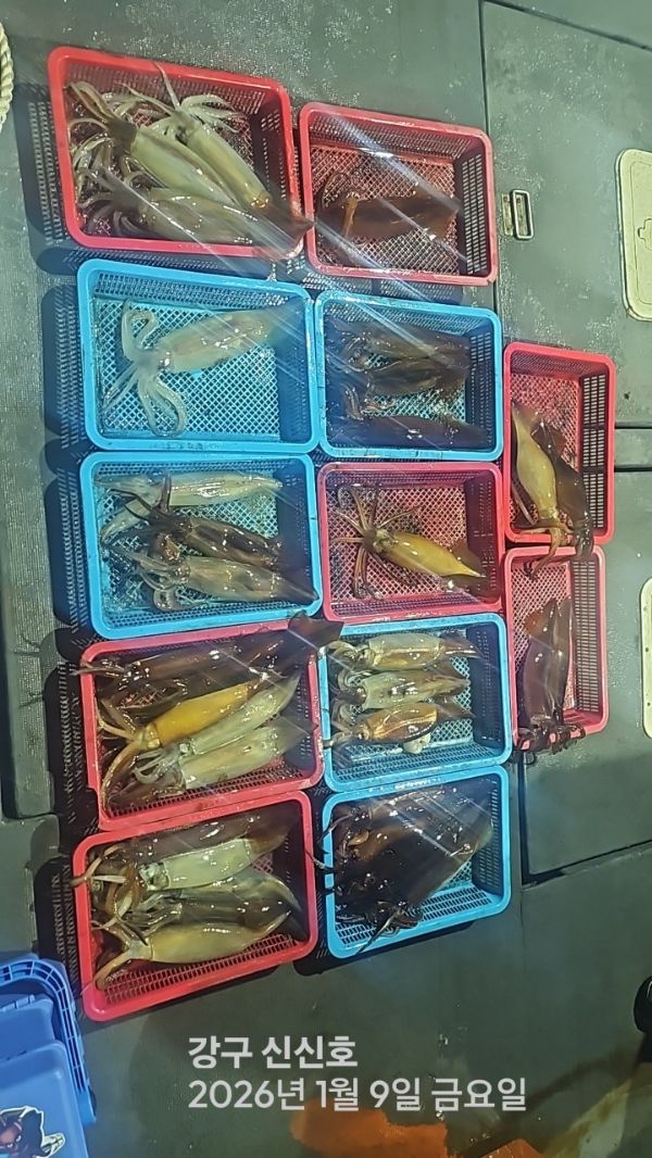 신신낚시 강구점 신신호_사진_20260110_11.jpg