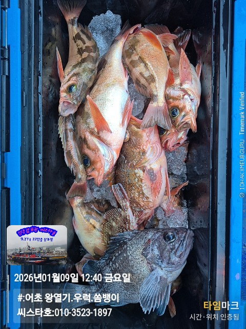 2026-01-09 12.40.16__(#-어초 왕열기.우럭.쏨뱅이)_(씨스타호-010-3523-1897).jpg