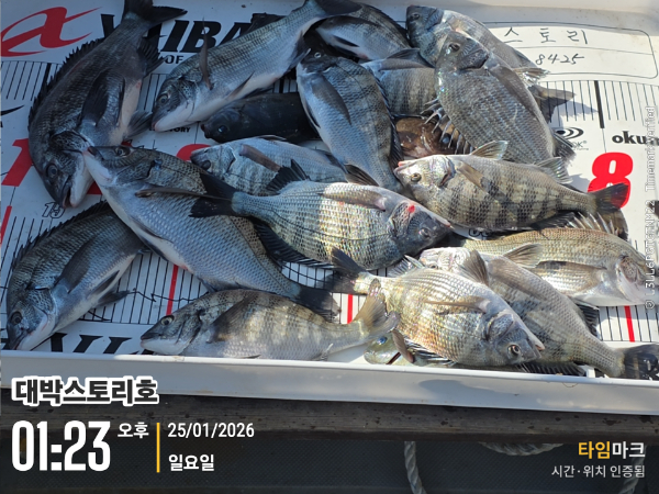 2026-01-25 01.23.49__(대박스토리호).jpg