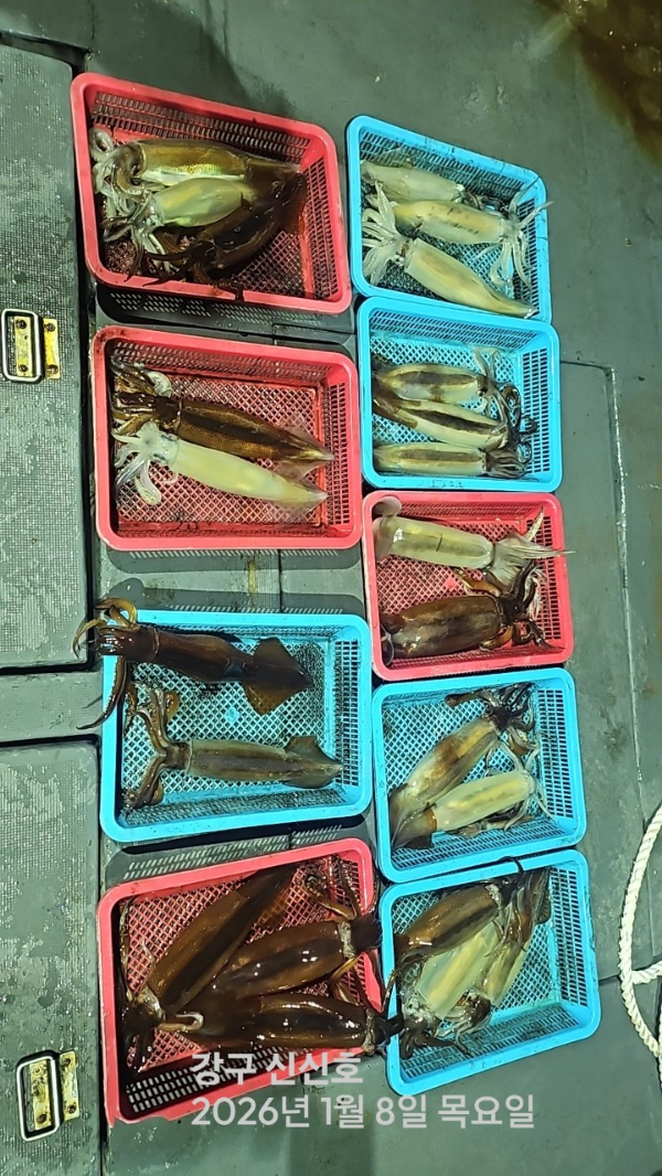 신신낚시 강구점 신신호_사진_20260109_8.jpg