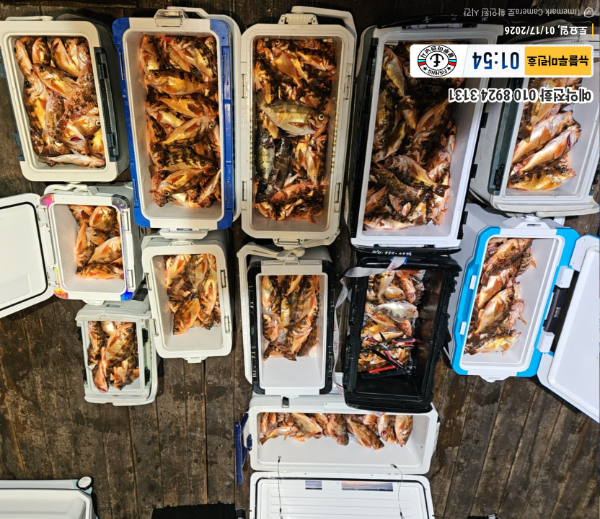 2026-01-17 01.54.54_대한민국_(제목-뉴블루마린호)_(예약전화 010 8924 3131).jpg