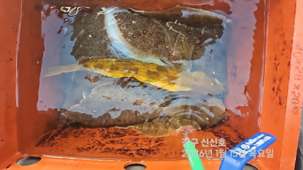 신신낚시 강구점 신신호_사진_20260115_7.jpg