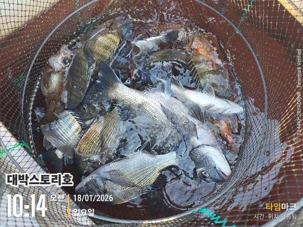 2026-01-18 10.14.30__(대박스토리호).jpg