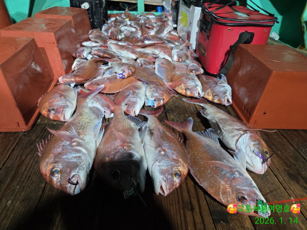 쎄븐피싱클럽(선상 버스출조전문)_사진_20260115_3.jpg