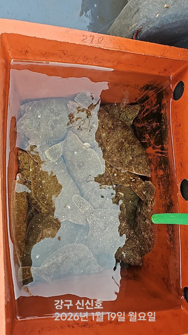 신신낚시 강구점 신신호_사진_20260119_7.jpg