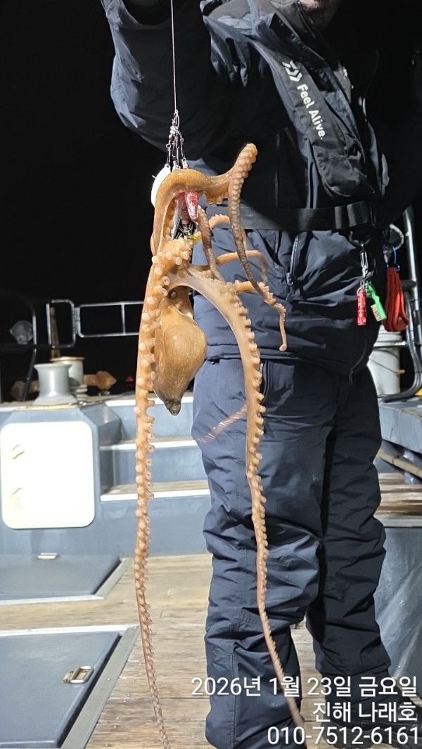 진해 나래호(문어,낙지,갈치)_사진_20260124_6.jpg