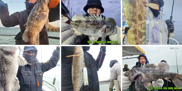 1월18 3호 (1)-tile.jpg