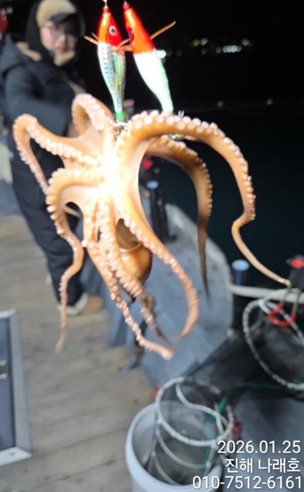 진해 나래호(문어,낙지,갈치)_사진_20260126_12.jpg