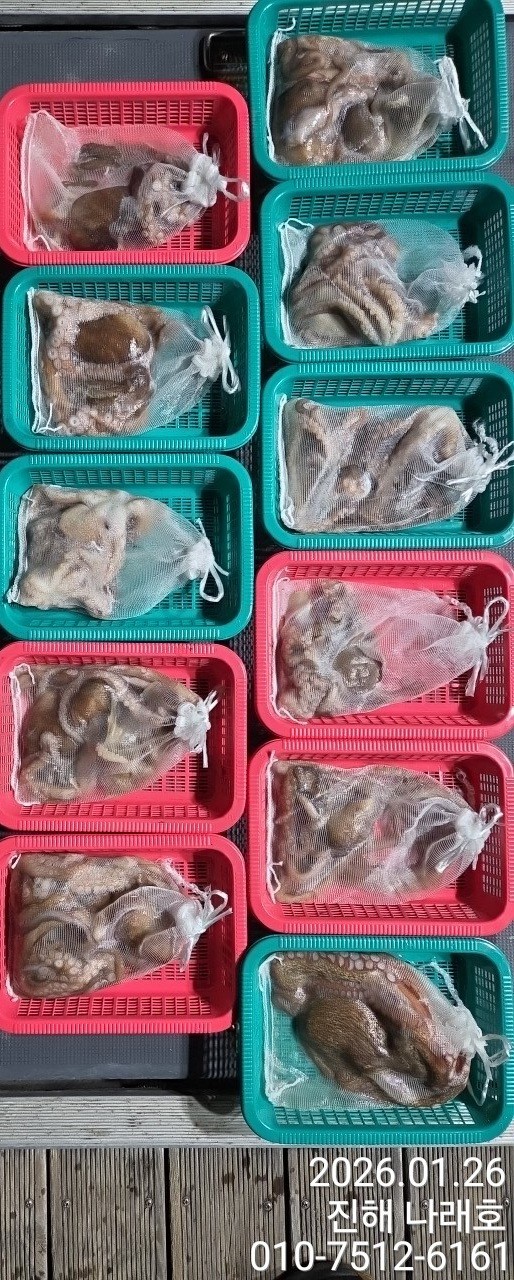 진해 나래호(문어,낙지,갈치)_사진_20260126_22.jpg