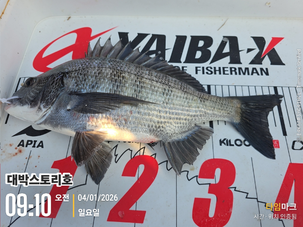 2026-01-04 09.10.58__(대박스토리호).jpg