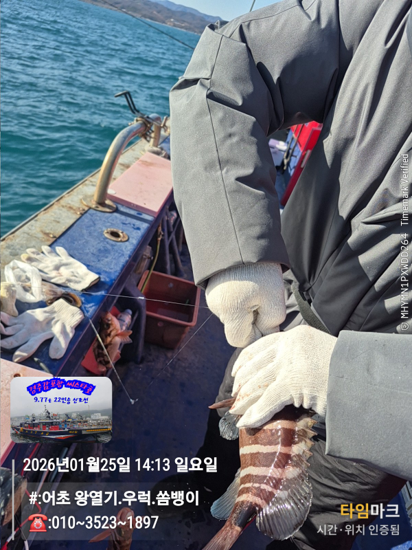 2026-01-25 14.13.37__(#-어초 왕열기.우럭.쏨뱅이)_(-010~3523~1897).jpg