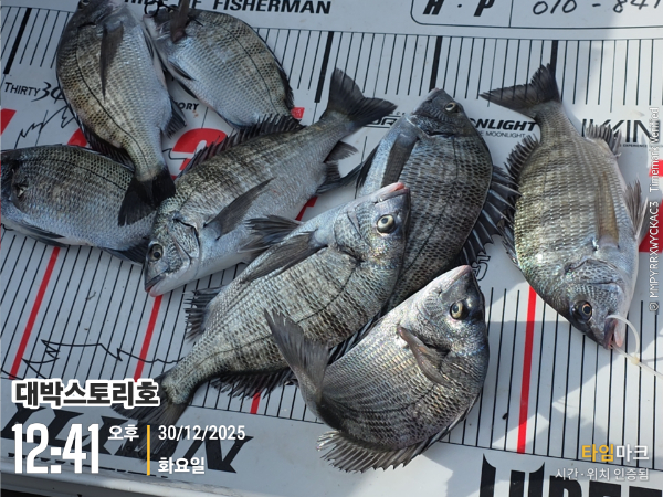 2025-12-30 12.41.53__(대박스토리호).jpg