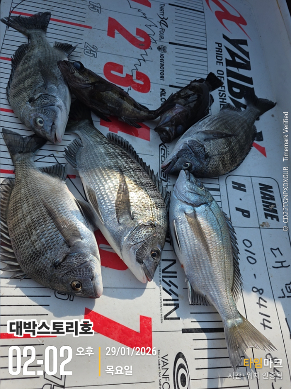 2026-01-29 02.02.04__(대박스토리호).jpg