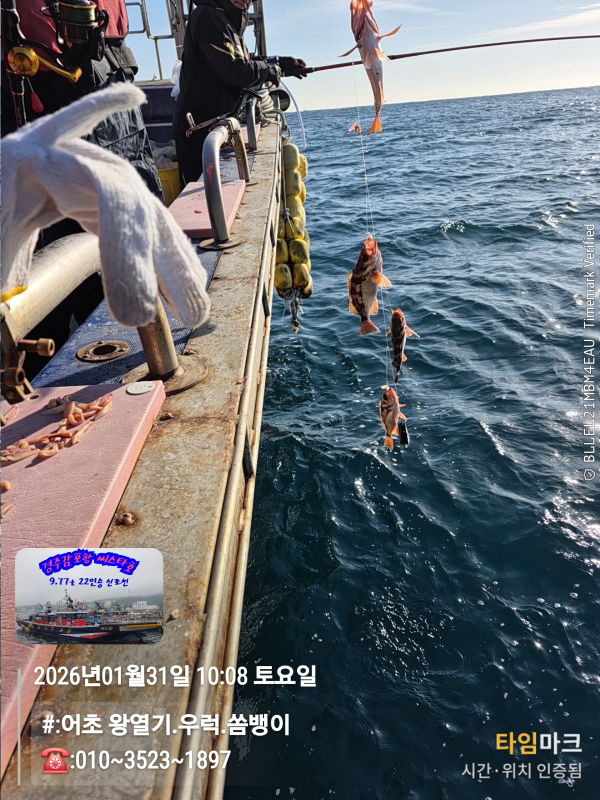 2026-01-31 10.08.28__(#-어초 왕열기.우럭.쏨뱅이)_(-010~3523~1897).jpg