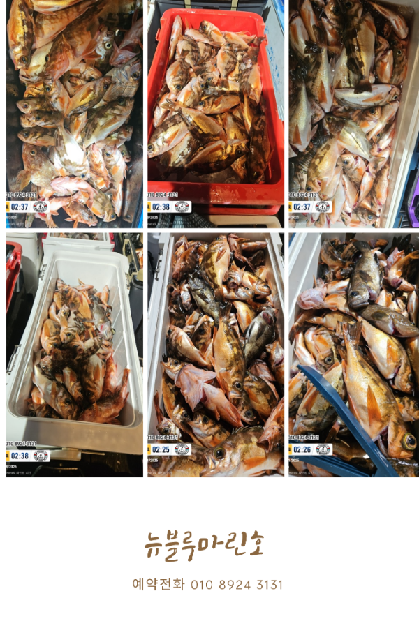 흰색 황갈색 깔끔한 격자 가족사진 콜라주_20260112_195653_0000.png