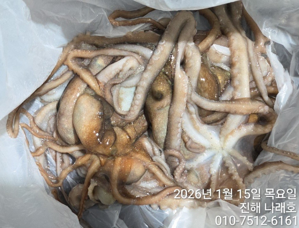 진해 나래호(문어,낙지,갈치)_사진_20260115_1.jpg