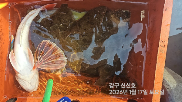 신신낚시 강구점 신신호_사진_20260117_9.jpg
