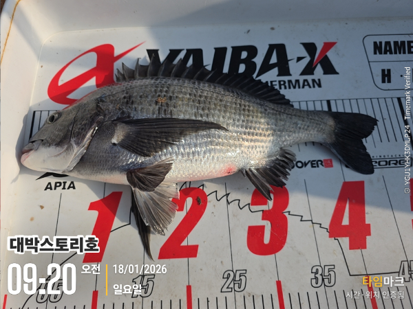 2026-01-18 09.21.03__(대박스토리호).jpg