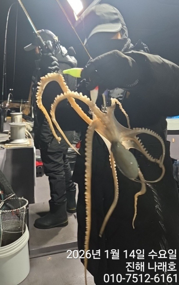 진해 나래호(문어,낙지,갈치)_사진_20260115_6.jpg