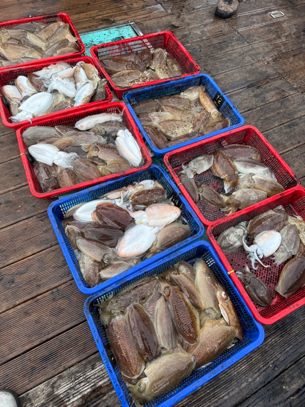 제주 쏘니호_사진_20260105_12.jpg