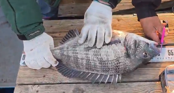 화면 캡처 2026-01-18 160717.png