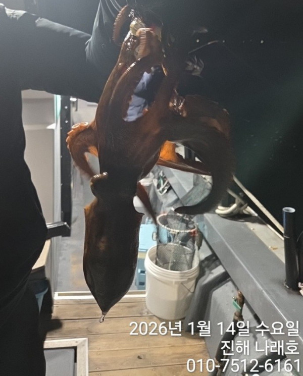 진해 나래호(문어,낙지,갈치)_사진_20260115_16.jpg