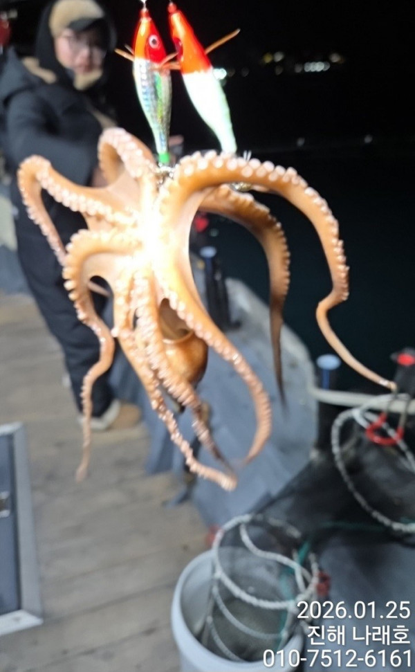 진해 나래호(문어,낙지,갈치)_사진_20260126_12.jpg