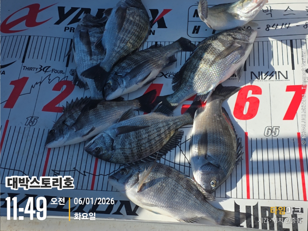 2026-01-06 11.49.40__(대박스토리호).jpg