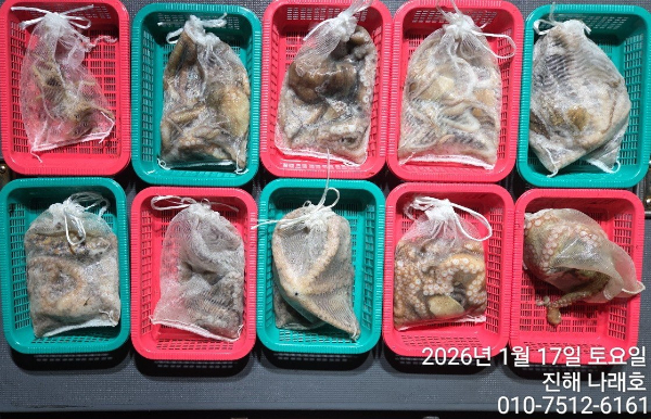 진해 나래호(문어,낙지,갈치)_사진_20260117_15.jpg