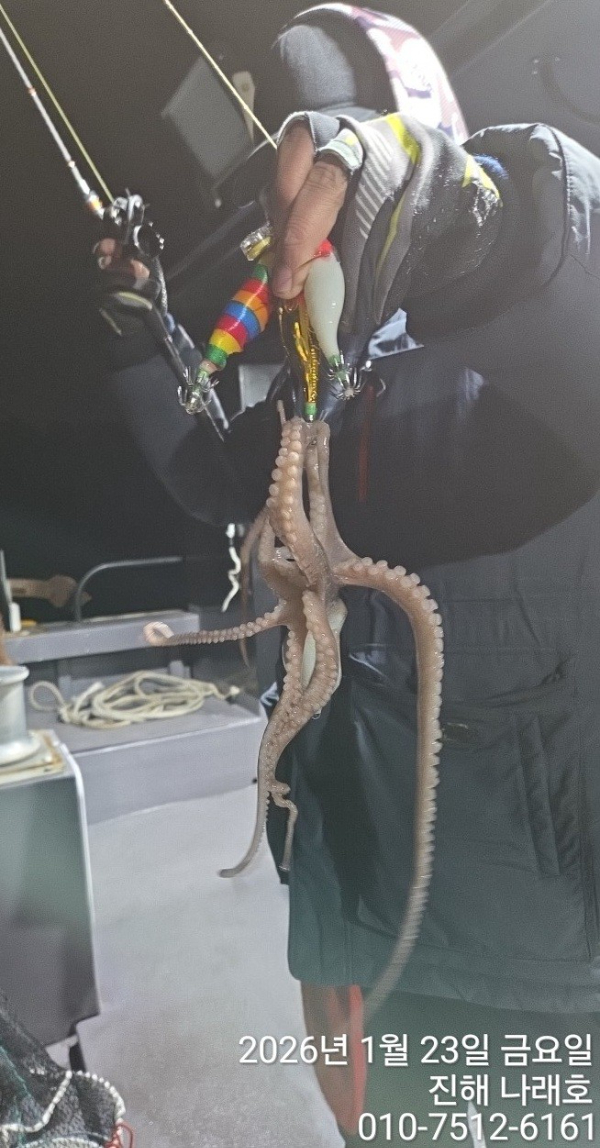 진해 나래호(문어,낙지,갈치)_사진_20260124_1.jpg