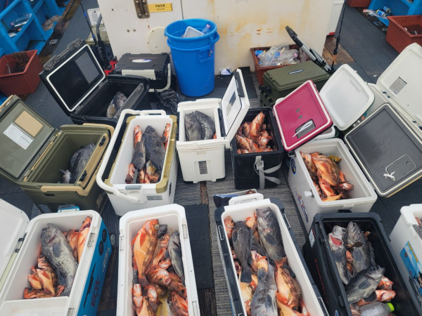 군산 선상낚시, 바다낚시 출조 전문 ☆서군산낚시☆_사진_20260114_2.jpg