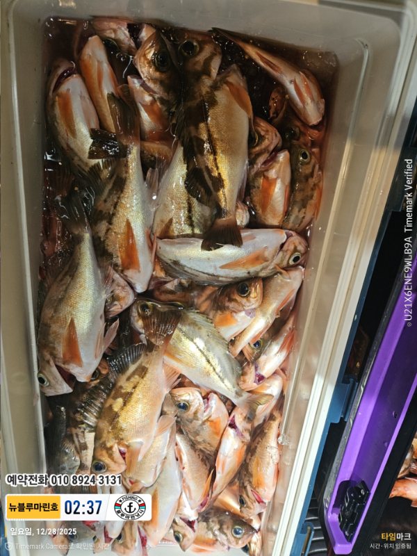 2025-12-28 02.37.43_대한민국_(제목-뉴블루마린호)_(예약전화 010 8924 3131).jpg