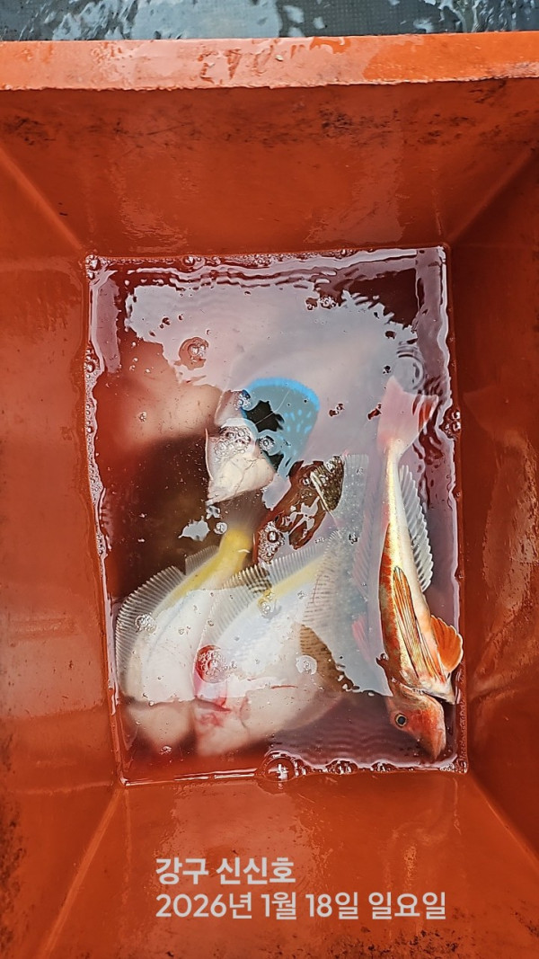 신신낚시 강구점 신신호_사진_20260118_17.jpg