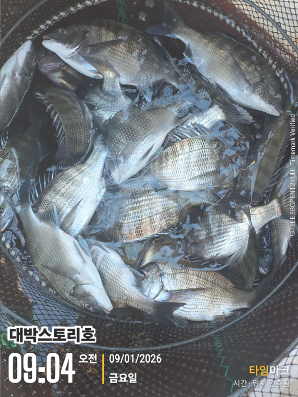 2026-01-09 09.04.13__(대박스토리호).jpg