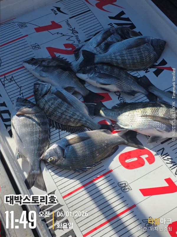 2026-01-06 11.49.32__(대박스토리호).jpg