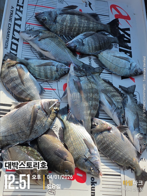 2026-01-04 12.51.56__(대박스토리호).jpg