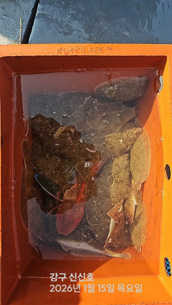 신신낚시 강구점 신신호_사진_20260115_9.jpg