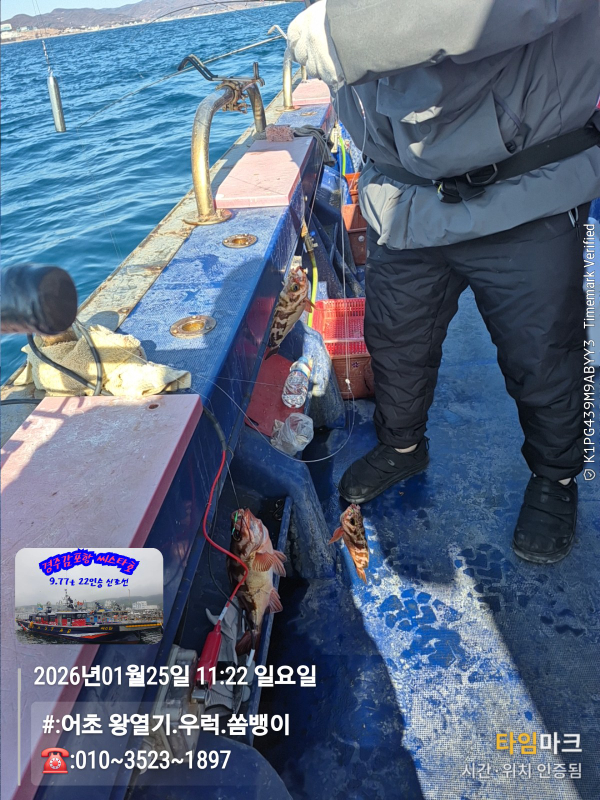 2026-01-25 11.22.40__(#-어초 왕열기.우럭.쏨뱅이)_(-010~3523~1897).jpg