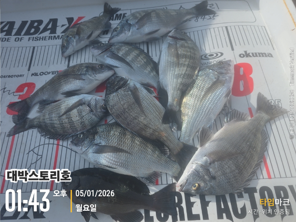 2026-01-05 01.43.02__(대박스토리호).jpg