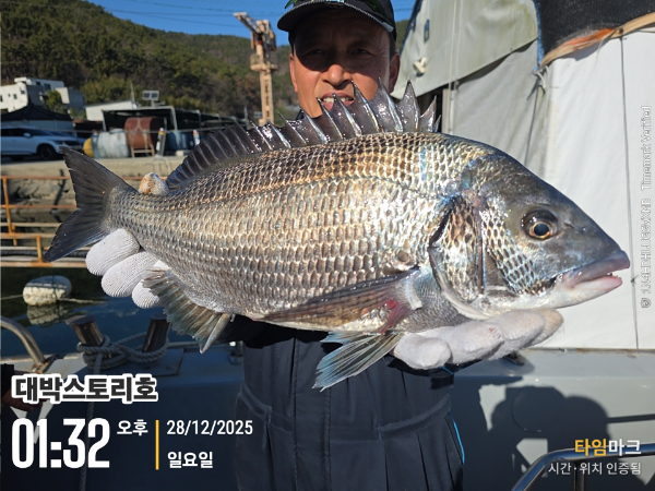 2025-12-28 01.32.44__(대박스토리호).jpg